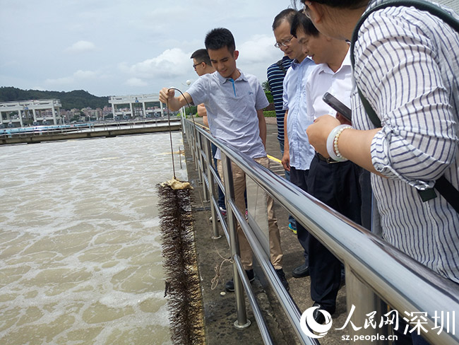 香港七八成用水来自东深供水工程