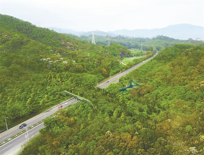 深圳大鹏新区在全国率先启动生态廊道体系研究