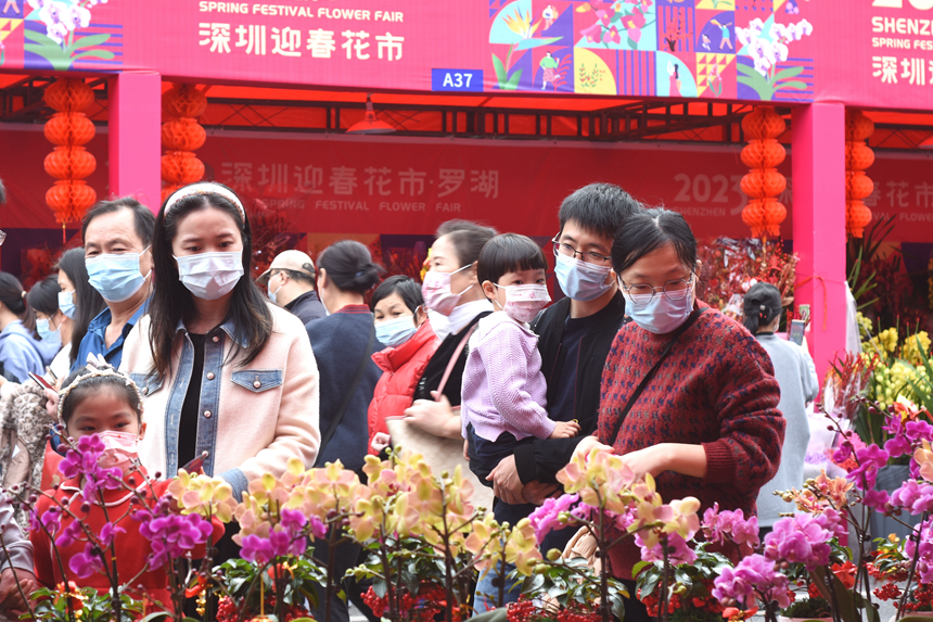 市民逛花市、買年花。劉森君攝