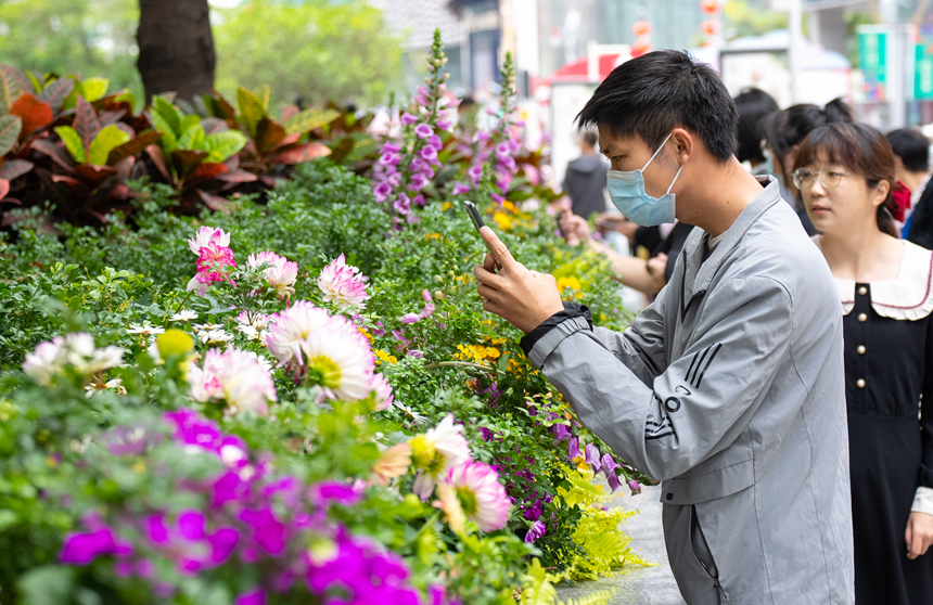 鮮花吸引市民拍照。王星 攝