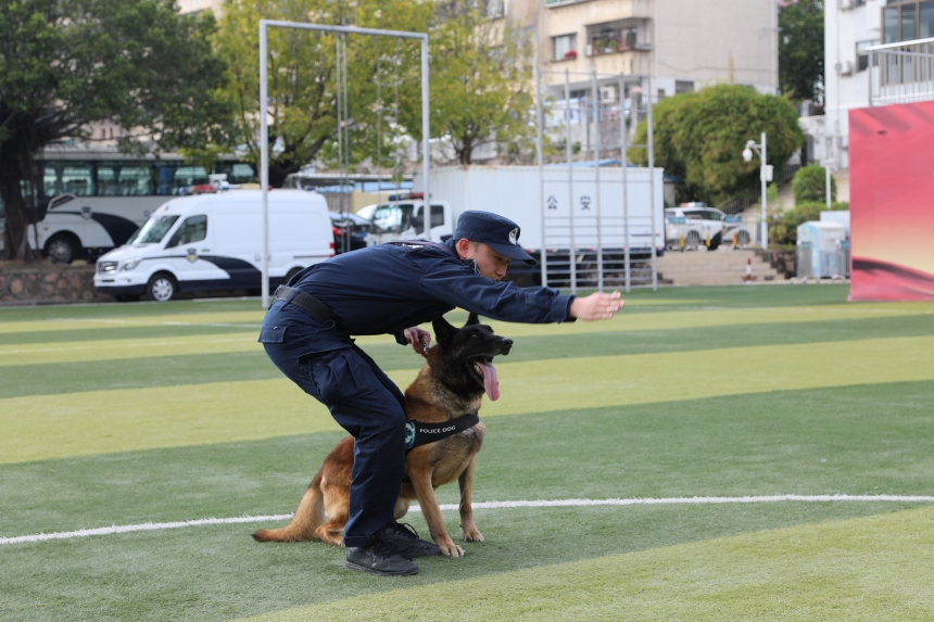 警犬訓練。