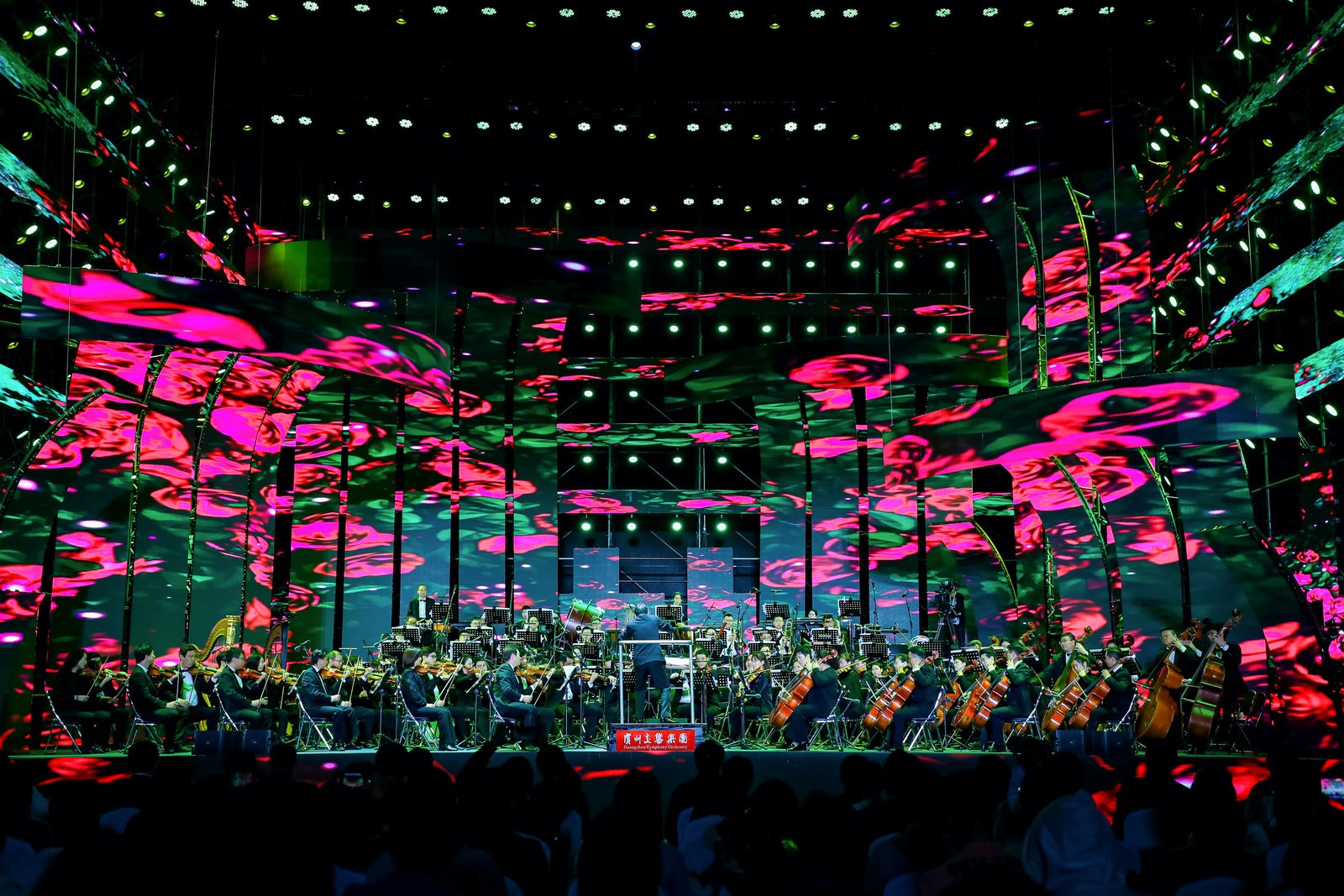 梧桐山音樂會為廣大市民游客帶來一場花海與音樂相得益彰的視聽盛宴。主辦方供圖