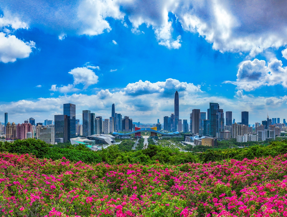 在莲花山顶俯瞰深圳市中心