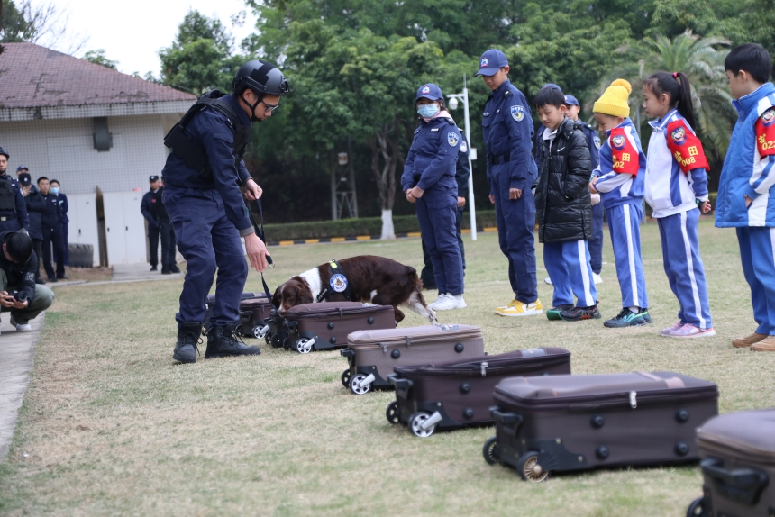 警犬进行箱包搜爆表演。深圳公安供图
