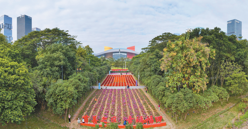 深圳市民中心有一片幸福花田