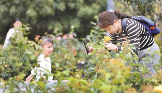 在深圳，与“花花世界”撞个满怀