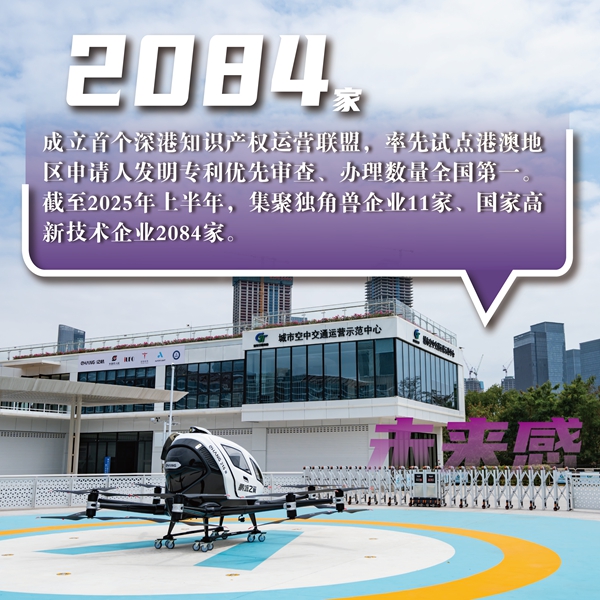 未来感 · 聚集国高企业2084家