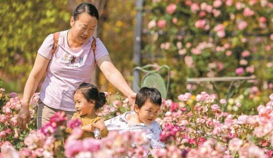 三月春深万物生