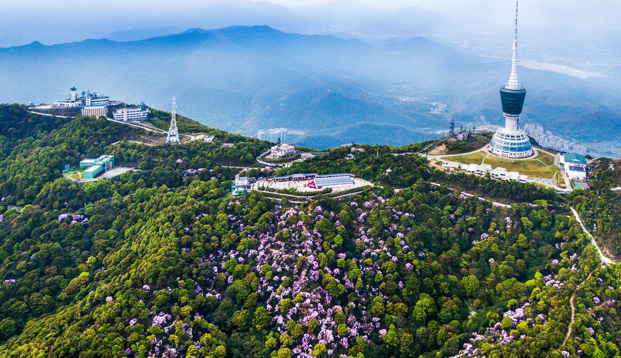 梧桐山风景区