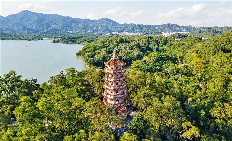深圳南山西麗塔重新開放