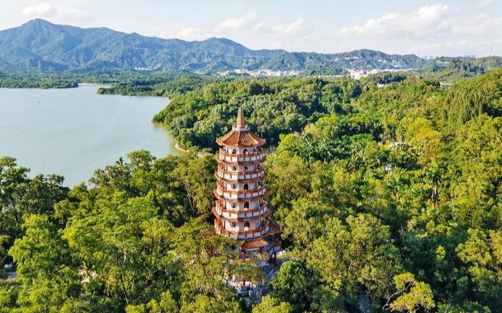 深圳南山西麗塔重新開放