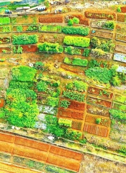 生态治理 查看详情超大城市生态修复，深圳这样探索一边是亟待治理的历史遗留“伤疤”，一边是捉襟见肘的新增绿地空间。面对超大城市生态修复的难题，深圳盘活“人、钱、地”三大要素，在有限资源约束下将生态野趣与现代都市交织融合，写下人与自然和谐共生的生动故事。