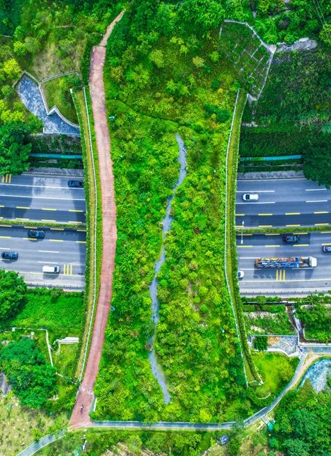 和谐共生 查看详情跳转视频“深圳绿”，最动人底色生态文明建设是关系中华民族永续发展的根本大计。面对城市化快速推进，深圳坚持高质量发展与高水平保护协同共进，通过规划引领、系统修复和价值转化，探索形成可借鉴、可推广的绿色发展路径，全力打造美丽中国典范。