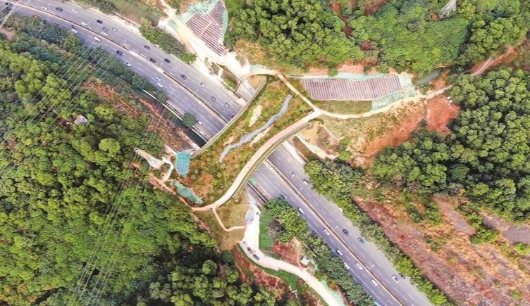 深圳三部法规获通过，涉及红树林保护等