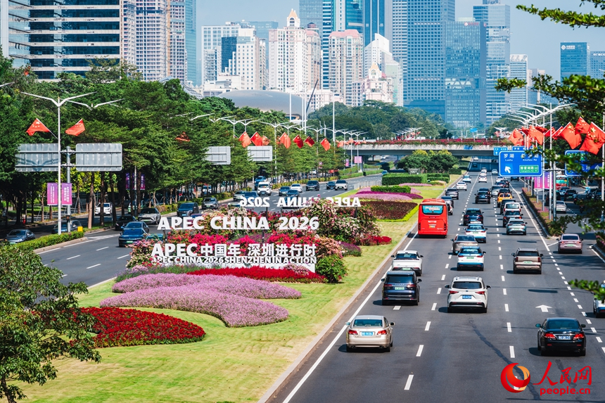 深南大道设置APEC主题景观。人民网记者 王星摄