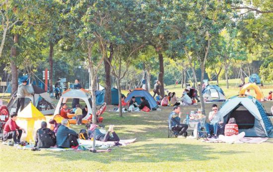 深圳公园开展帐篷区试点 22家公园划定帐篷区