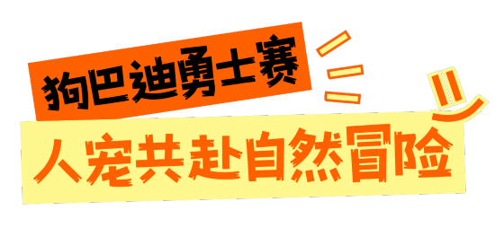 深圳这些赛事超萌超燃超多名场面KOKO体育下载(图5)