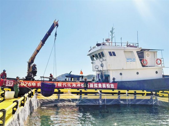 深圳首個現代化海洋牧場投苗 政企合作共筑“藍色糧倉”