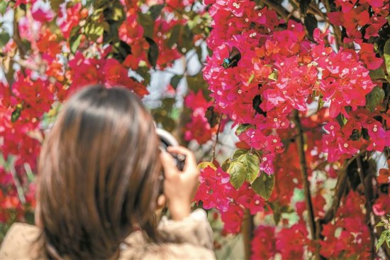 三月春深萬物生