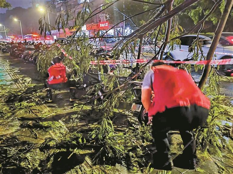 受台風“蝴蝶”影響，深圳迎來今年首個降雨集中期